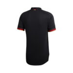 Alemanha Alternativa 20/21 - Image 2