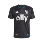 Charlotte Alternative 25/26