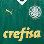 Palmeiras Principal 24/25 - Image 3