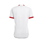 Toronto Alternativa 25/26 - Image 2