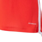 Internacional Principal 24/25 - Versão Feminina - Image 4