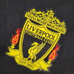Liverpool Terceiro 10/11 - Image 3