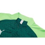 Palmeiras 24/25 - Fato de Treino - 1/2 Zip - Image 3