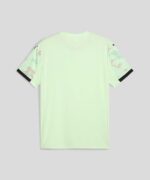 Portugal Alternativa 2025 - Image 2